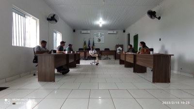 Reunião composição comissões